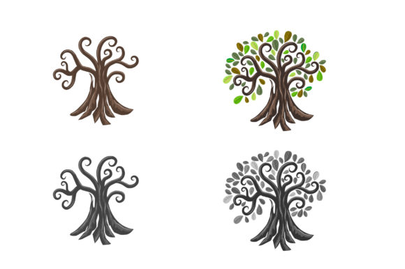 Ancient Tree Collections: A Rich Resource for Designers and Creators