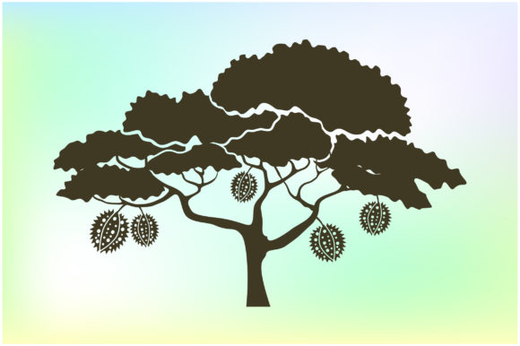 Durian Tree