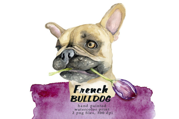 French Bulldog Print, Watercolor Dog