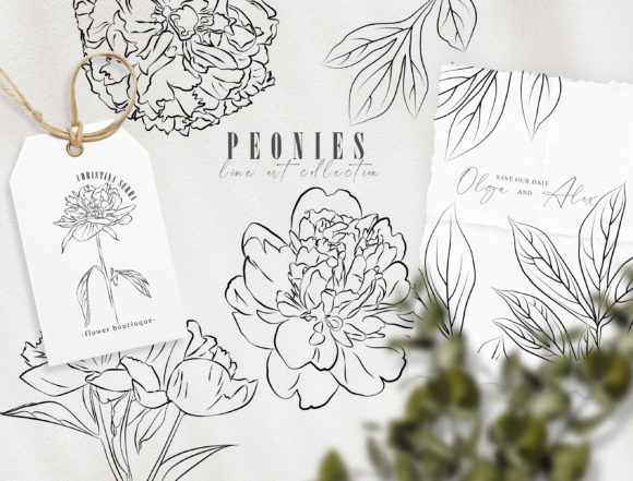 Line Art Peony Flower Clipart: A Versatile Tool for Creative Projects