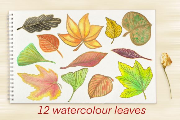 Set Autumn Leaves: A Versatile Design Resource for Creative Projects