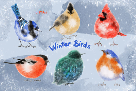 Watercolor Procreate Winter Birds Set